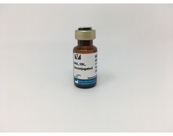 Sambucus Nigra Lectin (SNA, EBL), Unconjugated