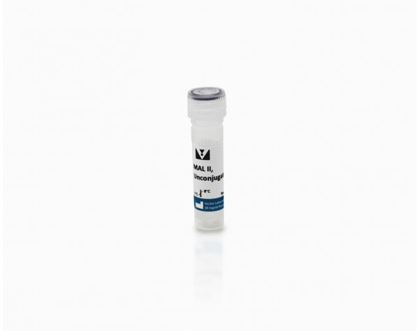 Maackia Amurensis Lectin II (MAL II), Unconjugated