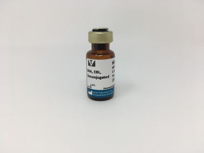 Maackia Amurensis Lectin II (MAL II), Unconjugated
