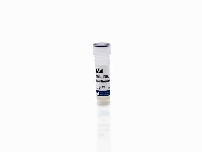 Maackia Amurensis Lectin II (MAL II), Unconjugated