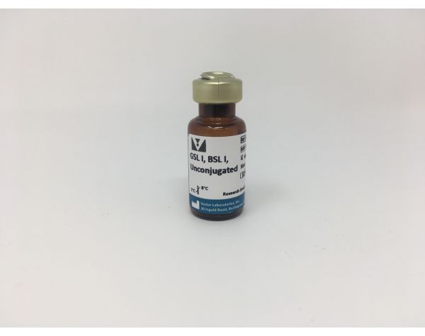 Griffonia (Bandeiraea) Simplicifolia Lectin I (GSL I, BSL I), Unconjugated