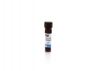 Griffonia (Bandeiraea) Simplicifolia Lectin I (GSL I, BSL I), Unconjugated