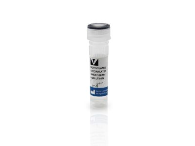N-acetylglucosamine