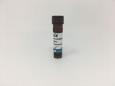 N-acetylglucosamine