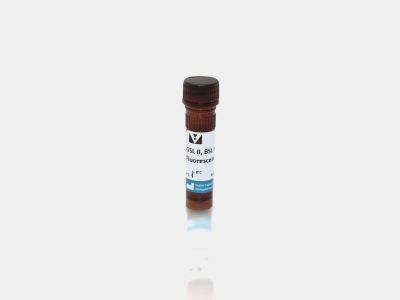 N-acetylglucosamine