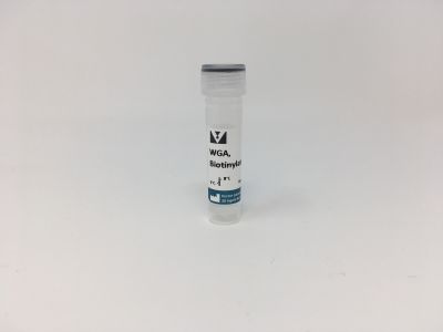 N-acetylglucosamine