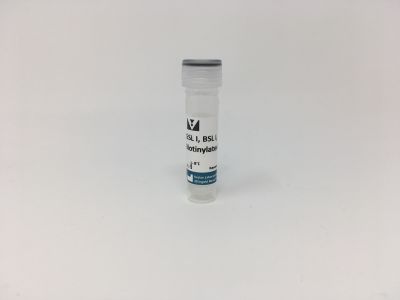N-acetylgalactosamine