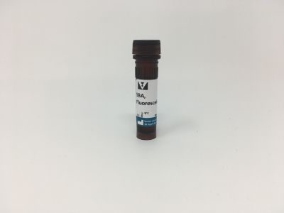 N-acetylgalactosamine