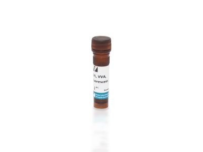 N-acetylgalactosamine