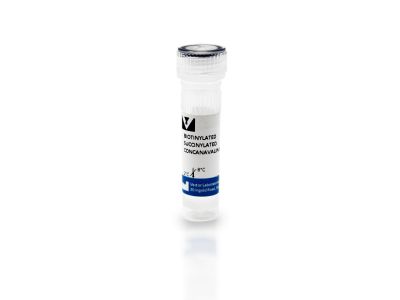 N-acetylgalactosamine