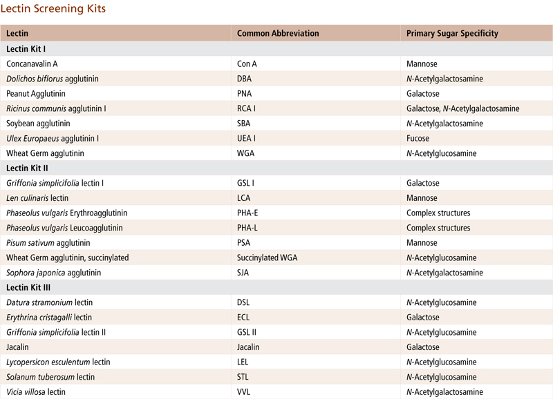 Lectin Screening Kits Lectin Kit I, Fluorescein
