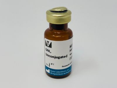 Galanthus Nivalis Lectin (GNL), Biotinylated