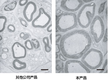 無(wú)DMSO的皮膚及神經(jīng)組織用冷藏保存液                              ThelioKeep?