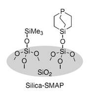 硅膠負(fù)載型籃式結(jié)構(gòu)催化劑                              Silica-SMAP、Silica-TRIP