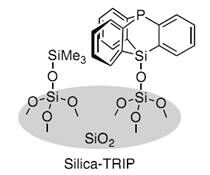 硅膠負(fù)載型籃式結(jié)構(gòu)催化劑                              Silica-SMAP、Silica-TRIP