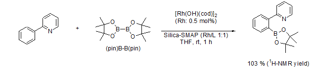 硅膠負(fù)載型籃式結(jié)構(gòu)催化劑                              Silica-SMAP、Silica-TRIP