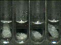 梅特勒(Mettler Toledo) MP50 熔點(diǎn)儀